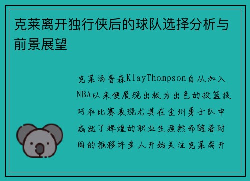 克莱离开独行侠后的球队选择分析与前景展望