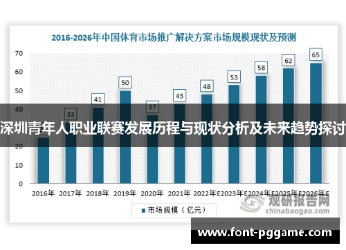 深圳青年人职业联赛发展历程与现状分析及未来趋势探讨