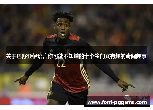 关于巴舒亚伊语言你可能不知道的十个冷门又有趣的奇闻趣事