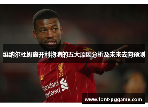 维纳尔杜姆离开利物浦的五大原因分析及未来去向预测 维纳尔杜姆离开利物浦的五大原因分析及未来去向预测